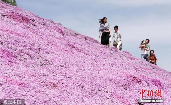 日本都道府县魅力排行榜出炉 北海道连续12年居榜首